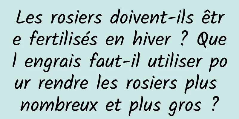 Les rosiers doivent-ils être fertilisés en hiver ? Quel engrais faut-il utiliser pour rendre les rosiers plus nombreux et plus gros ?