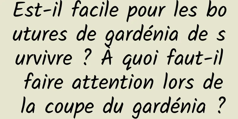 Est-il facile pour les boutures de gardénia de survivre ? À quoi faut-il faire attention lors de la coupe du gardénia ?