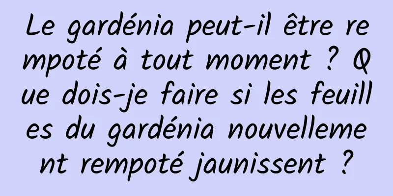 Le gardénia peut-il être rempoté à tout moment ? Que dois-je faire si les feuilles du gardénia nouvellement rempoté jaunissent ?