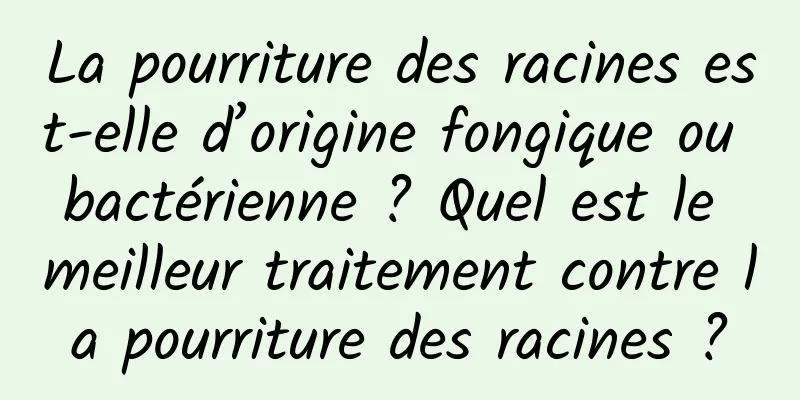 La pourriture des racines est-elle d’origine fongique ou bactérienne ? Quel est le meilleur traitement contre la pourriture des racines ?