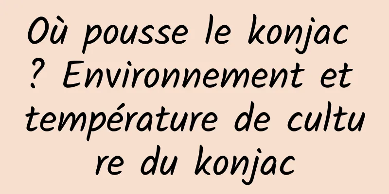 Où pousse le konjac ? Environnement et température de culture du konjac