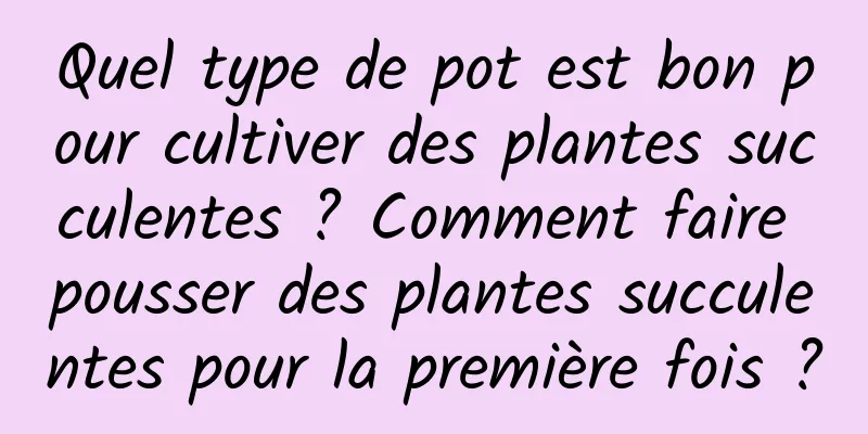 Quel type de pot est bon pour cultiver des plantes succulentes ? Comment faire pousser des plantes succulentes pour la première fois ?