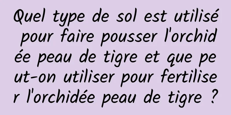 Quel type de sol est utilisé pour faire pousser l'orchidée peau de tigre et que peut-on utiliser pour fertiliser l'orchidée peau de tigre ?