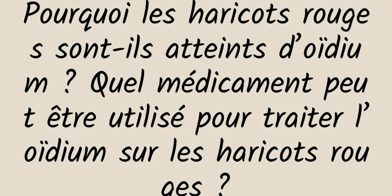 Pourquoi les haricots rouges sont-ils atteints d’oïdium ? Quel médicament peut être utilisé pour traiter l’oïdium sur les haricots rouges ?