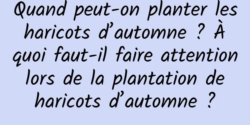 Quand peut-on planter les haricots d’automne ? À quoi faut-il faire attention lors de la plantation de haricots d’automne ?