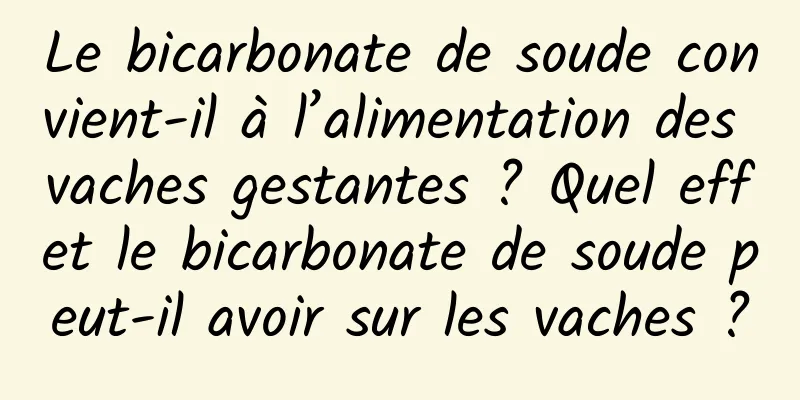 Le bicarbonate de soude convient-il à l’alimentation des vaches gestantes ? Quel effet le bicarbonate de soude peut-il avoir sur les vaches ?