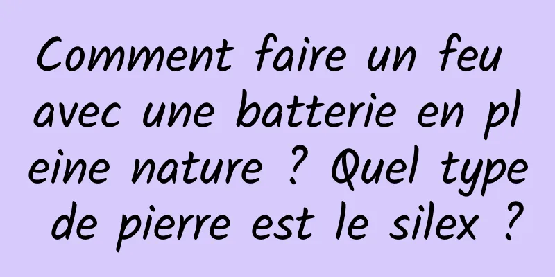 Comment faire un feu avec une batterie en pleine nature ? Quel type de pierre est le silex ?