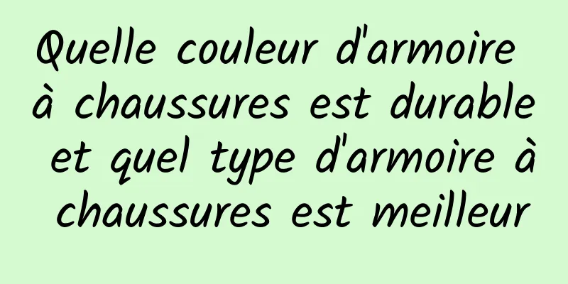 Quelle couleur d'armoire à chaussures est durable et quel type d'armoire à chaussures est meilleur