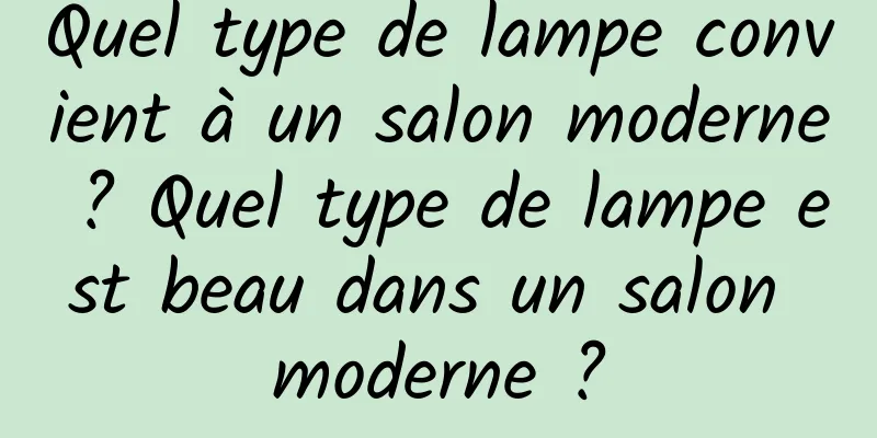 Quel type de lampe convient à un salon moderne ? Quel type de lampe est beau dans un salon moderne ?