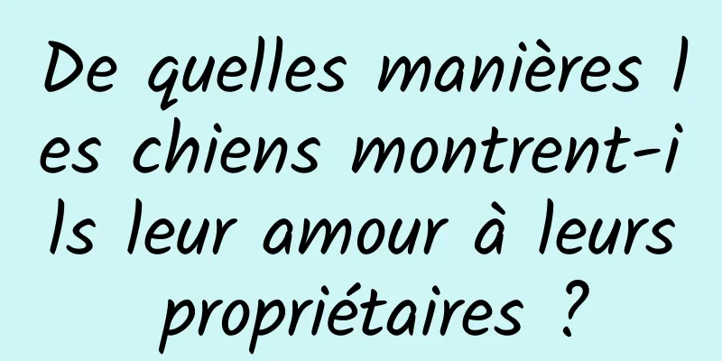 De quelles manières les chiens montrent-ils leur amour à leurs propriétaires ?