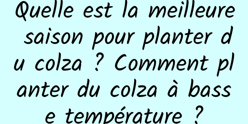 Quelle est la meilleure saison pour planter du colza ? Comment planter du colza à basse température ?