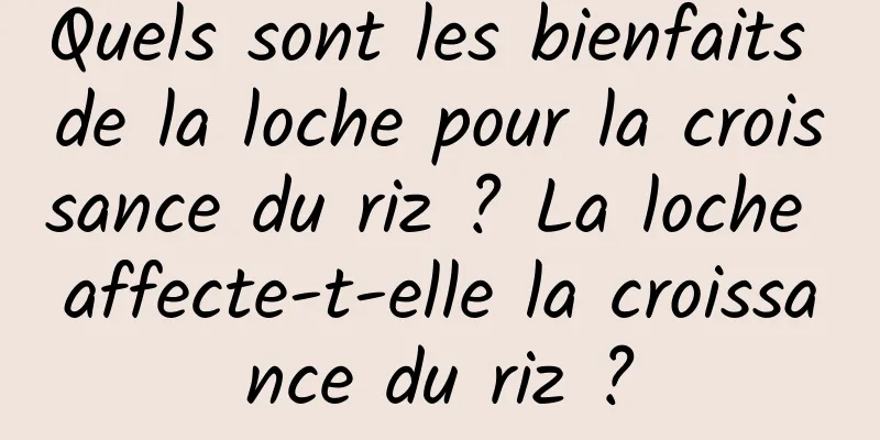 Quels sont les bienfaits de la loche pour la croissance du riz ? La loche affecte-t-elle la croissance du riz ?