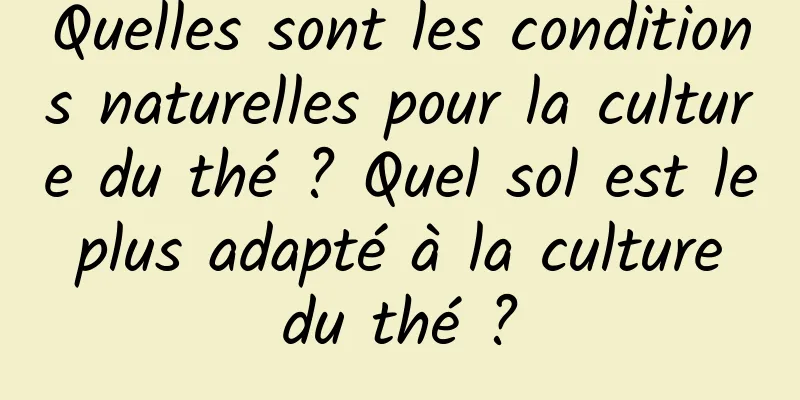 Quelles sont les conditions naturelles pour la culture du thé ? Quel sol est le plus adapté à la culture du thé ?