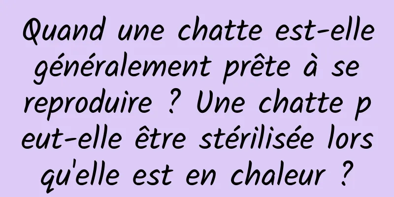 Quand une chatte est-elle généralement prête à se reproduire ? Une chatte peut-elle être stérilisée lorsqu'elle est en chaleur ?
