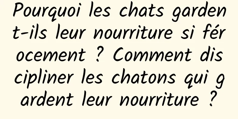 Pourquoi les chats gardent-ils leur nourriture si férocement ? Comment discipliner les chatons qui gardent leur nourriture ?