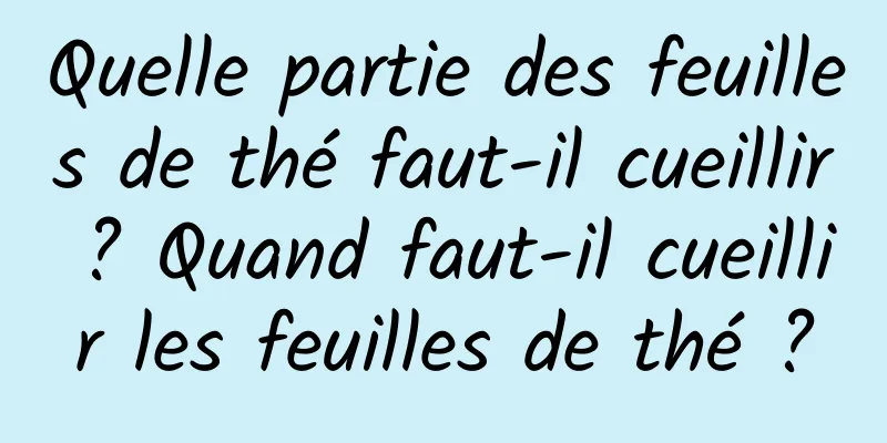 Quelle partie des feuilles de thé faut-il cueillir ? Quand faut-il cueillir les feuilles de thé ?