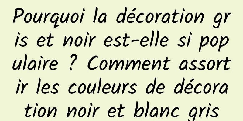 Pourquoi la décoration gris et noir est-elle si populaire ? Comment assortir les couleurs de décoration noir et blanc gris