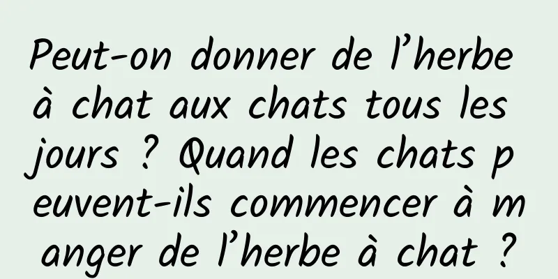 Peut-on donner de l’herbe à chat aux chats tous les jours ? Quand les chats peuvent-ils commencer à manger de l’herbe à chat ?