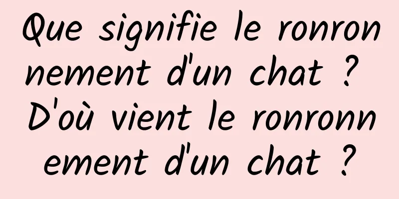 Que signifie le ronronnement d'un chat ? D'où vient le ronronnement d'un chat ?