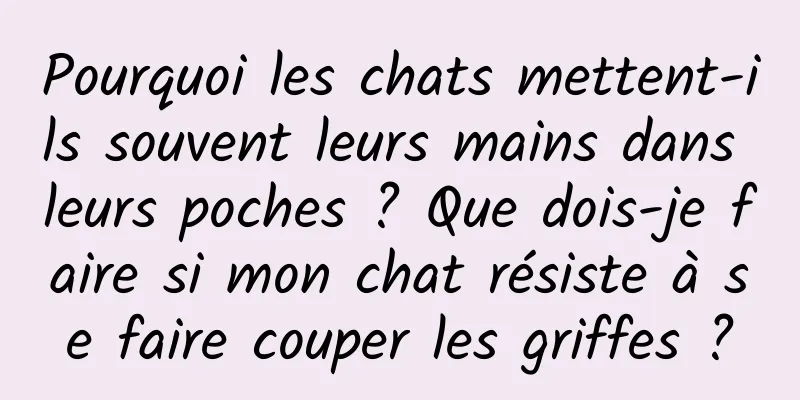 Pourquoi les chats mettent-ils souvent leurs mains dans leurs poches ? Que dois-je faire si mon chat résiste à se faire couper les griffes ?