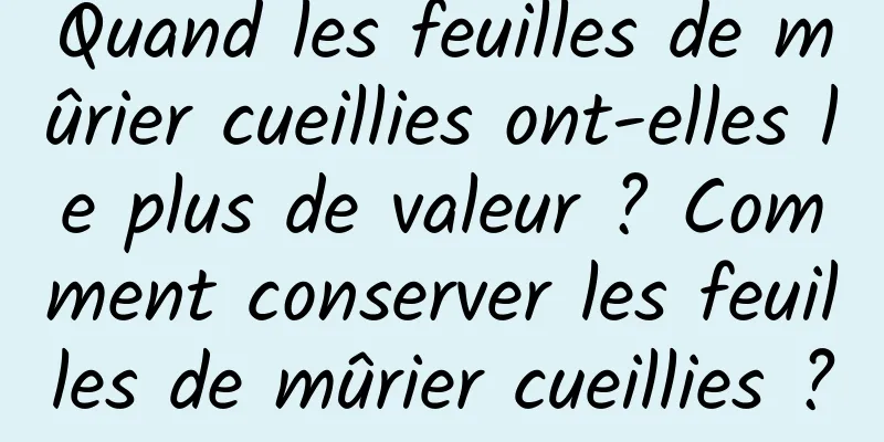 Quand les feuilles de mûrier cueillies ont-elles le plus de valeur ? Comment conserver les feuilles de mûrier cueillies ?