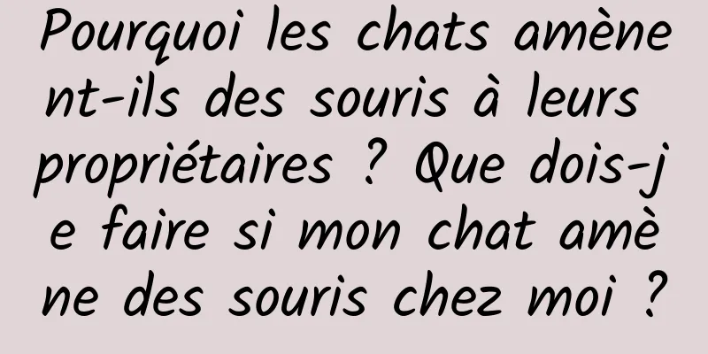 Pourquoi les chats amènent-ils des souris à leurs propriétaires ? Que dois-je faire si mon chat amène des souris chez moi ?