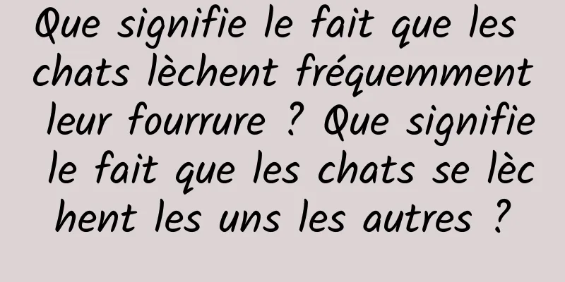Que signifie le fait que les chats lèchent fréquemment leur fourrure ? Que signifie le fait que les chats se lèchent les uns les autres ?