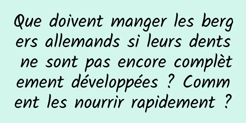 Que doivent manger les bergers allemands si leurs dents ne sont pas encore complètement développées ? Comment les nourrir rapidement ?