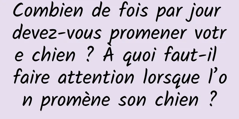 Combien de fois par jour devez-vous promener votre chien ? À quoi faut-il faire attention lorsque l’on promène son chien ?