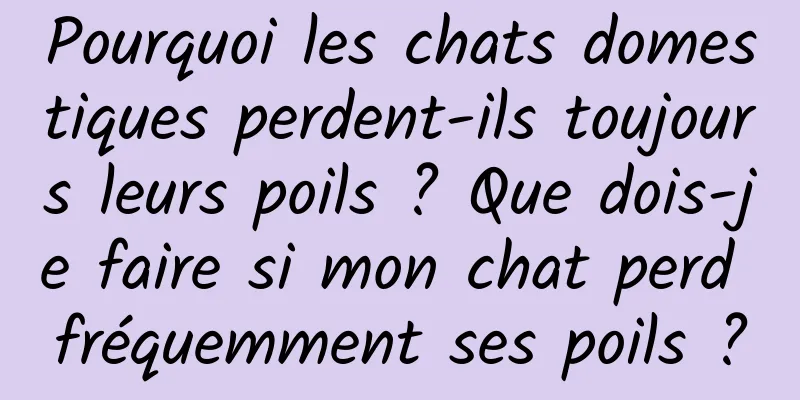 Pourquoi les chats domestiques perdent-ils toujours leurs poils ? Que dois-je faire si mon chat perd fréquemment ses poils ?
