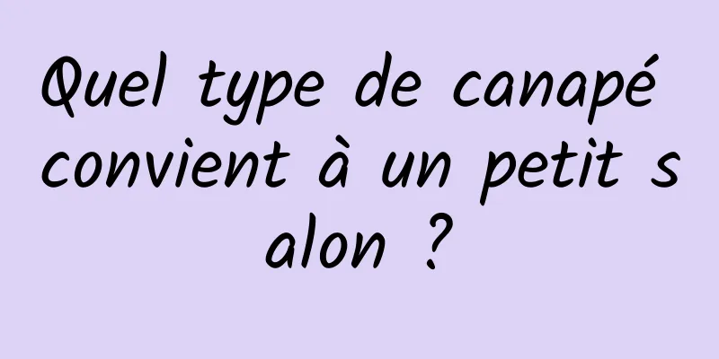 Quel type de canapé convient à un petit salon ?