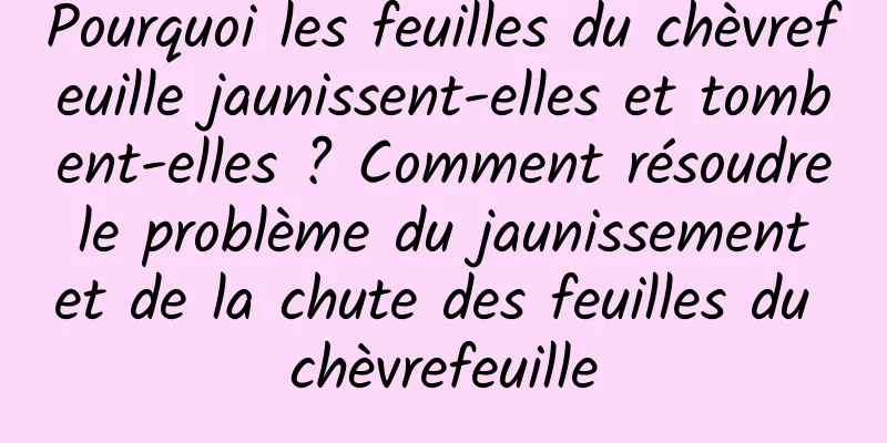 Pourquoi les feuilles du chèvrefeuille jaunissent-elles et tombent-elles ? Comment résoudre le problème du jaunissement et de la chute des feuilles du chèvrefeuille