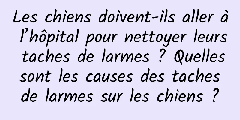 Les chiens doivent-ils aller à l’hôpital pour nettoyer leurs taches de larmes ? Quelles sont les causes des taches de larmes sur les chiens ?