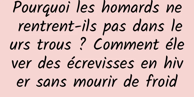Pourquoi les homards ne rentrent-ils pas dans leurs trous ? Comment élever des écrevisses en hiver sans mourir de froid