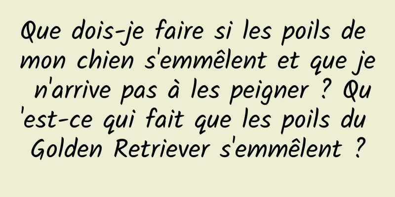 Que dois-je faire si les poils de mon chien s'emmêlent et que je n'arrive pas à les peigner ? Qu'est-ce qui fait que les poils du Golden Retriever s'emmêlent ?