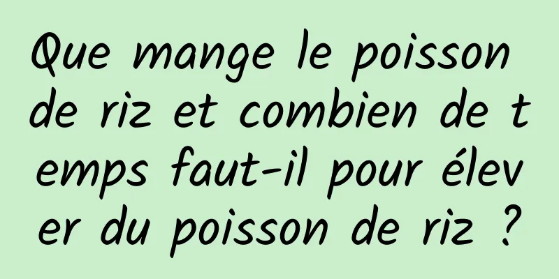 Que mange le poisson de riz et combien de temps faut-il pour élever du poisson de riz ?
