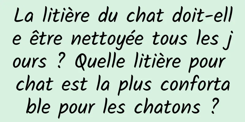 La litière du chat doit-elle être nettoyée tous les jours ? Quelle litière pour chat est la plus confortable pour les chatons ?