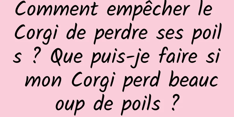 Comment empêcher le Corgi de perdre ses poils ? Que puis-je faire si mon Corgi perd beaucoup de poils ?