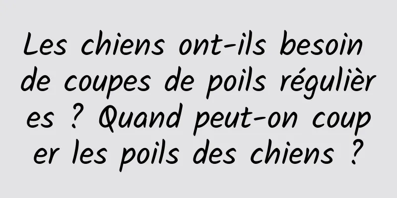 Les chiens ont-ils besoin de coupes de poils régulières ? Quand peut-on couper les poils des chiens ?