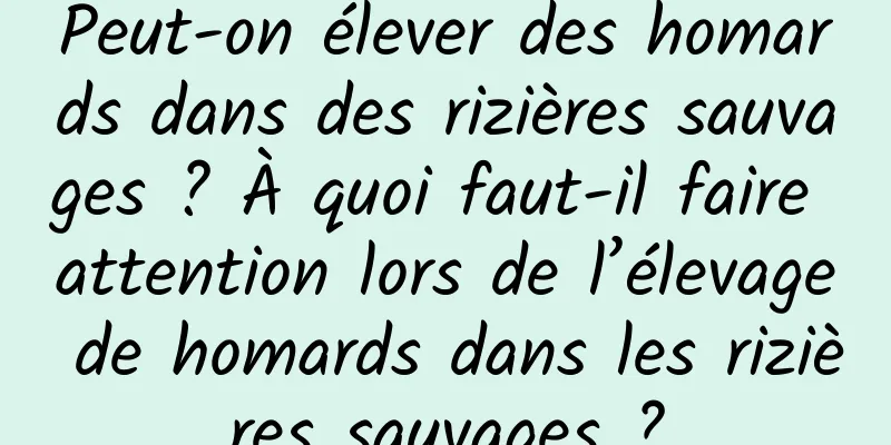Peut-on élever des homards dans des rizières sauvages ? À quoi faut-il faire attention lors de l’élevage de homards dans les rizières sauvages ?