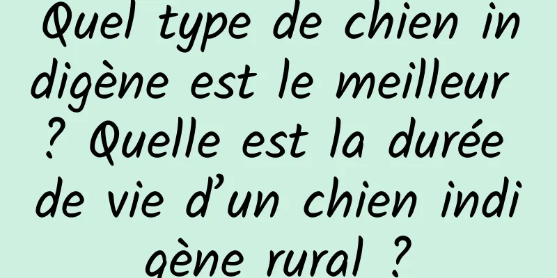 Quel type de chien indigène est le meilleur ? Quelle est la durée de vie d’un chien indigène rural ?