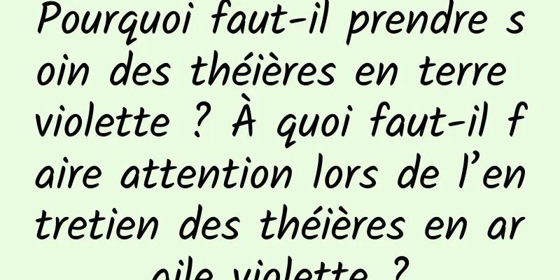 Pourquoi faut-il prendre soin des théières en terre violette ? À quoi faut-il faire attention lors de l’entretien des théières en argile violette ?
