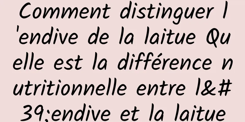 Comment distinguer l'endive de la laitue Quelle est la différence nutritionnelle entre l'endive et la laitue