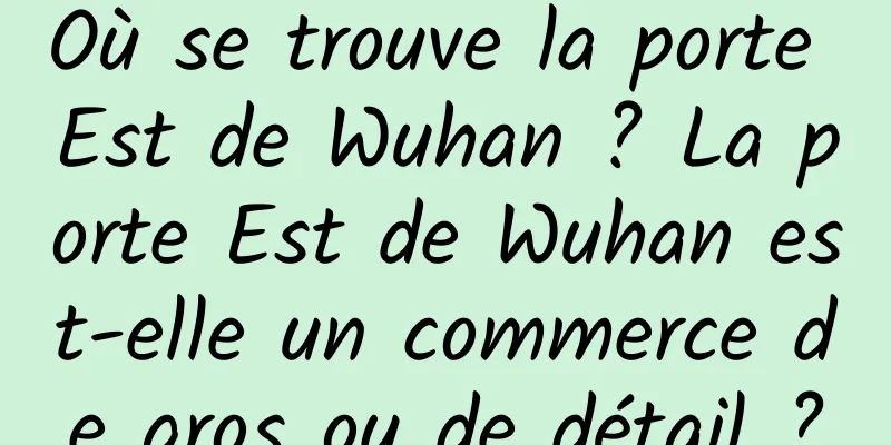 Où se trouve la porte Est de Wuhan ? La porte Est de Wuhan est-elle un commerce de gros ou de détail ?