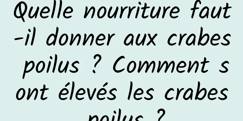 Quelle nourriture faut-il donner aux crabes poilus ? Comment sont élevés les crabes poilus ?