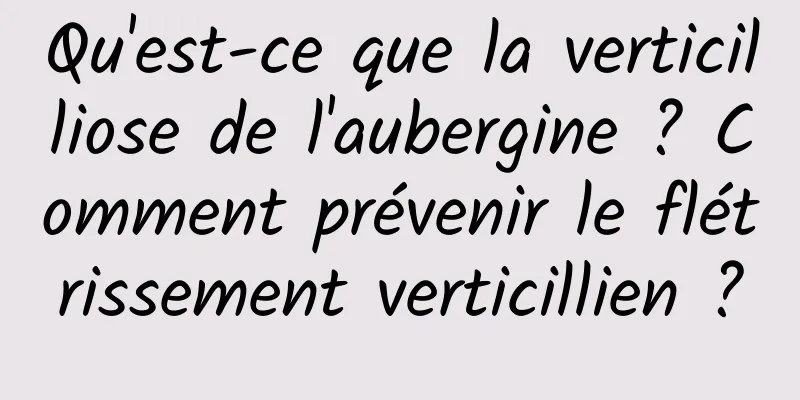 Qu'est-ce que la verticilliose de l'aubergine ? Comment prévenir le flétrissement verticillien ?