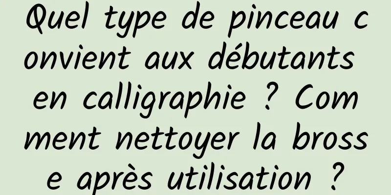 Quel type de pinceau convient aux débutants en calligraphie ? Comment nettoyer la brosse après utilisation ?
