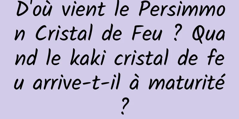 D'où vient le Persimmon Cristal de Feu ? Quand le kaki cristal de feu arrive-t-il à maturité ?