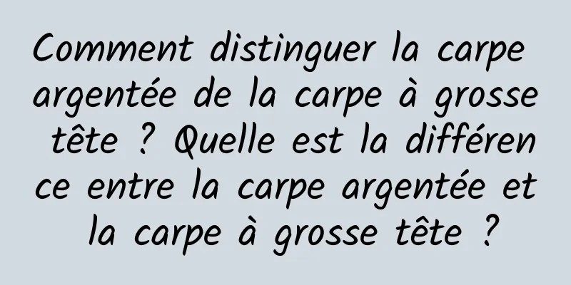 Comment distinguer la carpe argentée de la carpe à grosse tête ? Quelle est la différence entre la carpe argentée et la carpe à grosse tête ?