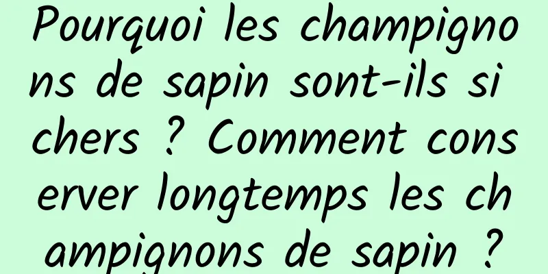 Pourquoi les champignons de sapin sont-ils si chers ? Comment conserver longtemps les champignons de sapin ?